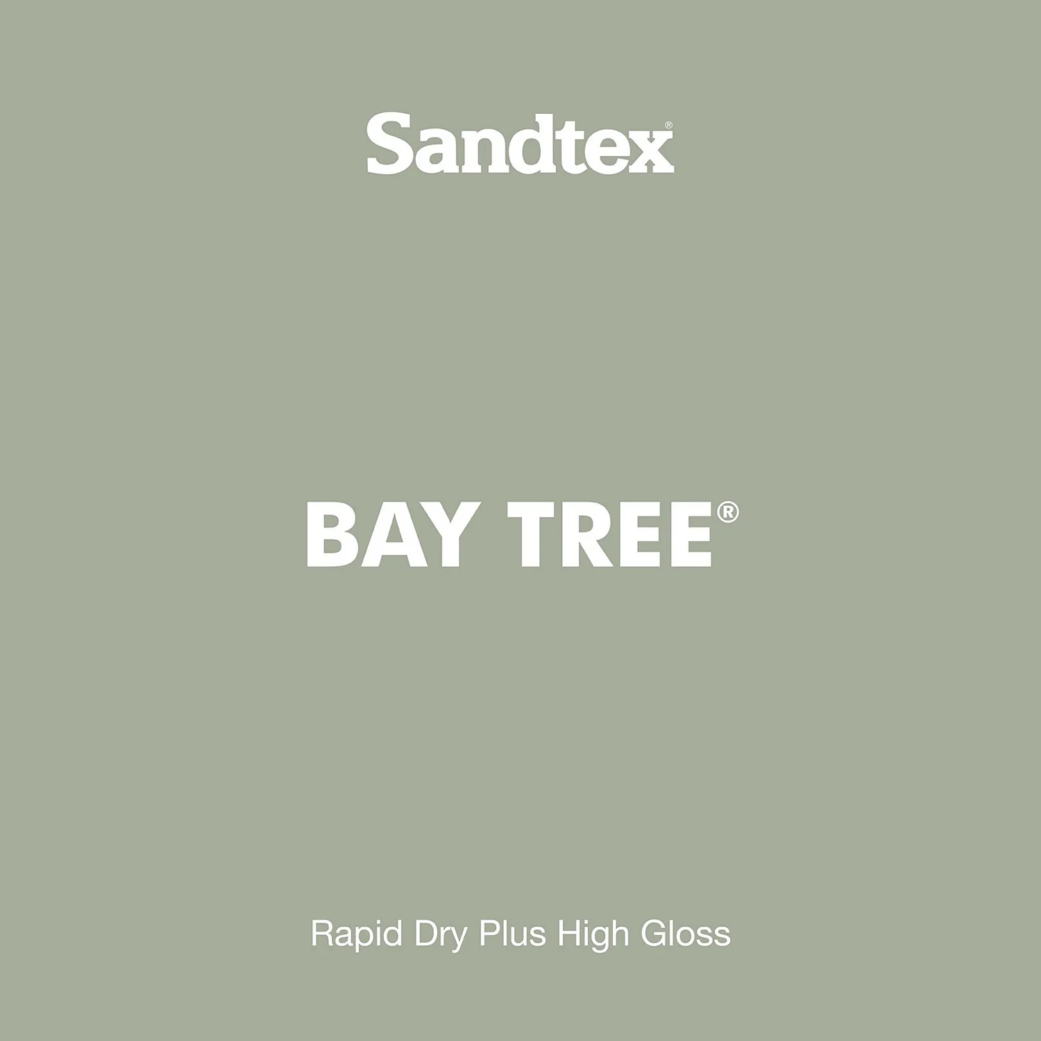 Sandtex® Rapid Dry Gloss Paint Bay Tree - 750ml